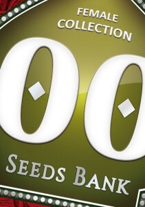 00 Seeds Female Collection #3
