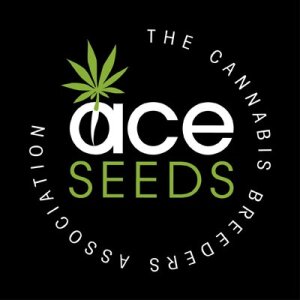 Ace Seeds Hashplant S1