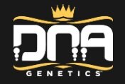 DNA Genetics Sharksbreath