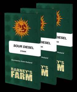 Barneys Farm Sour Diesel