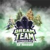 Bsf Seeds Dream Team Feminized Mix