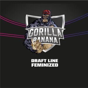 Bsf Seeds Gorilla Banana - Draft Line