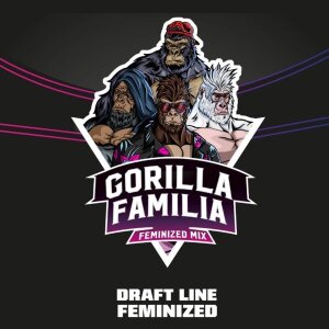 Bsf Seeds Gorilla Familia Feminized Mix - Draft Line