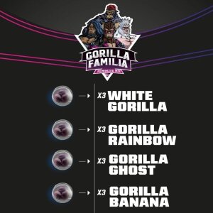 Bsf Seeds Gorilla Familia Feminized Mix - Draft Line
