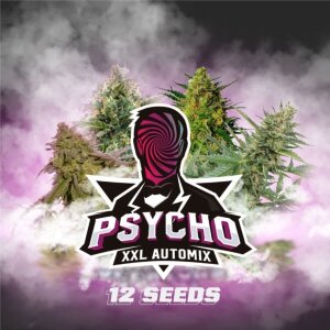 Bsf Seeds Psycho XXL Automix