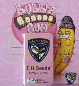 T.H. Seeds Bubblebananagum - Free 710 Limited 7 Pack