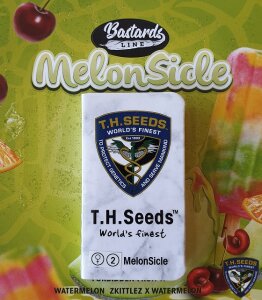 T.H. Seeds Melonsicle