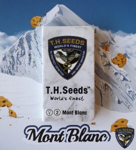 T.H. Seeds Mont Blanc