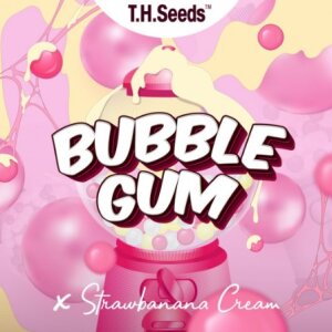 T.H. Seeds OG Bubblegum X Sbc