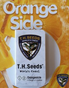 T.H. Seeds Orangesicle