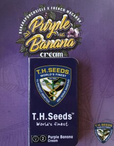 T.H. Seeds Purple Banana Cream Fem - Free 710 Limited 7 Pack