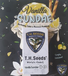 T.H. Seeds Vanilla Sundae - Free 710 Limited 7 Pack