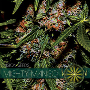 Vision Seeds Mighty Mango Bud