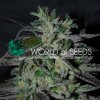 World Of Seeds Strawberry Blue (Early Harvest)